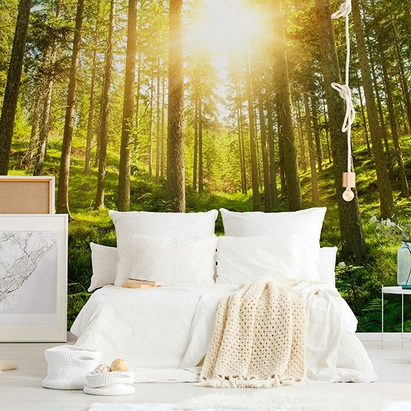 Fotomural Premium 3P-12004