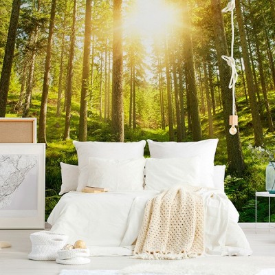 Fotomural Premium 3P-12004