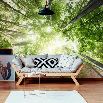 Fotomural Premium 3P-12003 2