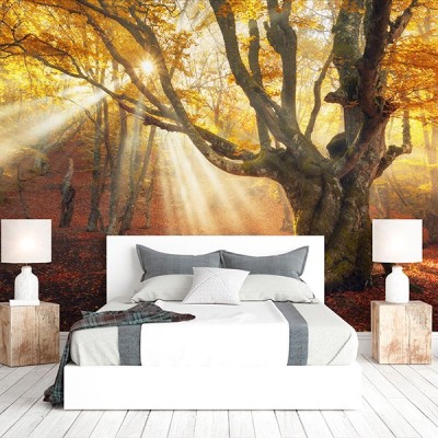 Fotomural Premium 3P-12002 2