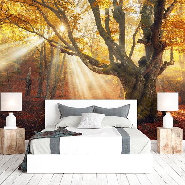 Fotomural Premium 3P-12002