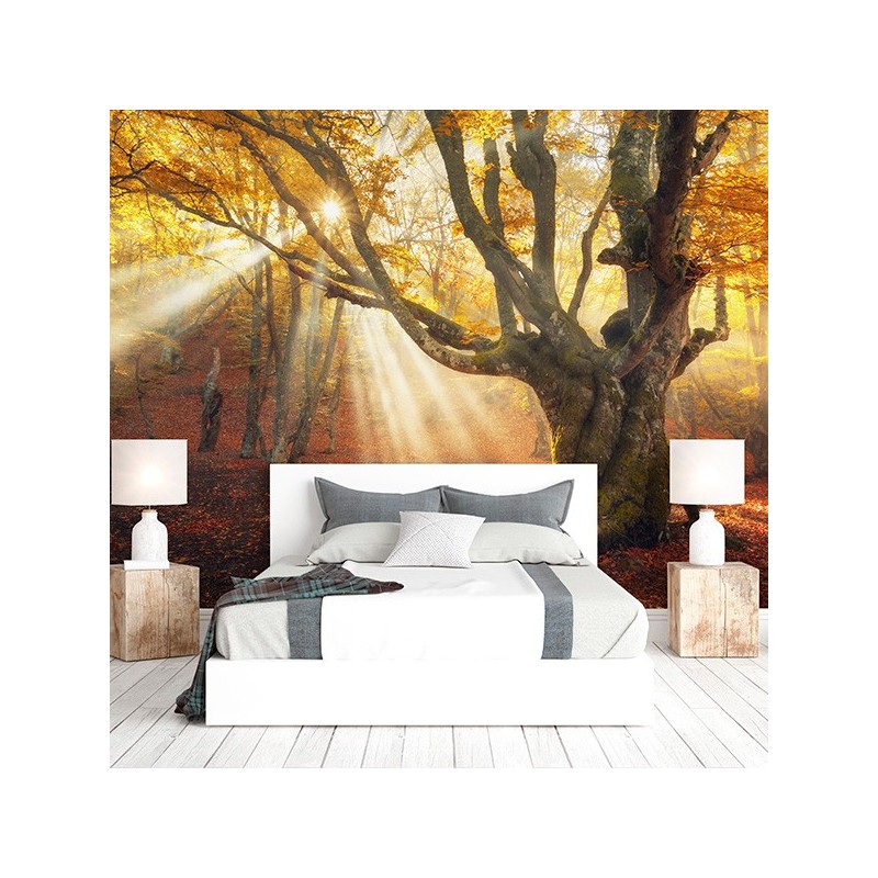 mural bosque de otoño tejido no tejido