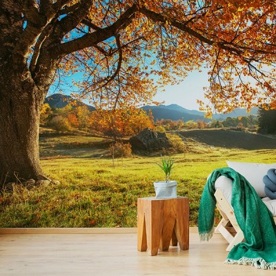 Fotomural Premium 3P-12001