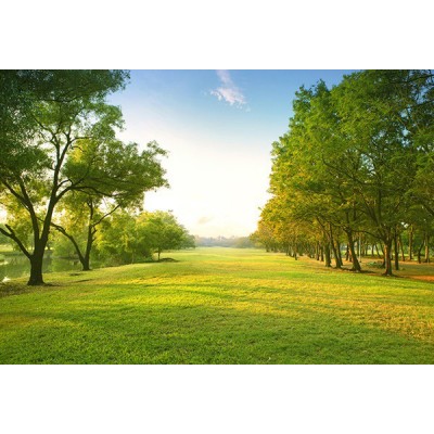 Fotomural Premium 3P-11008 Fotomural Premium 3P-11008