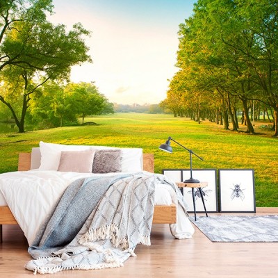 Fotomural Premium 3P-11008 2