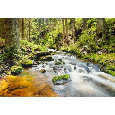 Fotomural Premium  3P-10020 Fotomural Premium  3P-10020