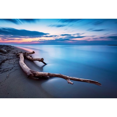 Fotomural Premium 3P-10009