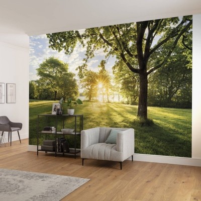 Fotomural GOLDEN MOMENT