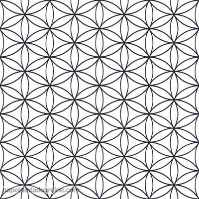 Papel de parede AMAZZONIA 22051