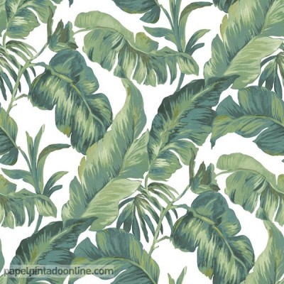 Papel pintado AMAZZONIA 22012 Papel pintado AMAZZONIA 22012