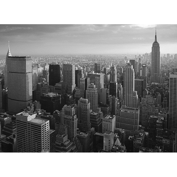 Fotomural NEW YORK NY16, 350cm. x...