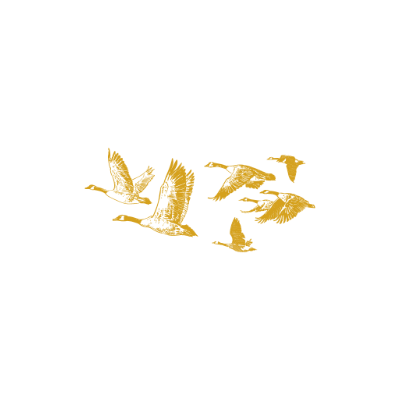 Vinilo Decorativo Moderno...