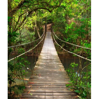 Fotomural Puente en la...