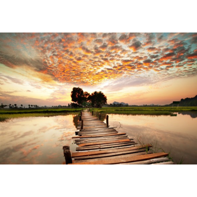 Fotomural Lago Passarela...