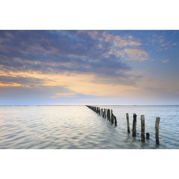 Fotomural Playa FPL011, 400cm. x...