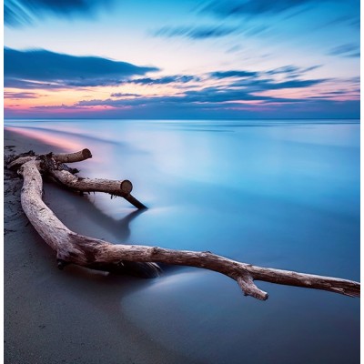 Fotomural Premium 2P-10009 Fotomural Premium 2P-10009