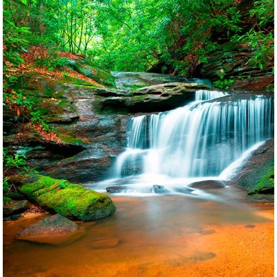 Fotomural Premium 2P-10018 Fotomural Premium 2P-10018