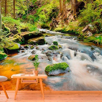 Fotomural Premium 2P-10020 2