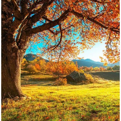 Fotomural Premium 2P-12001 Fotomural Premium 2P-12001