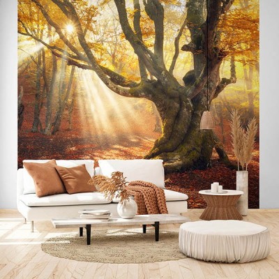 Fotomural Premium 2P-12002