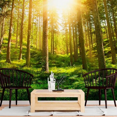 Fotomural Premium 2P-12004 2