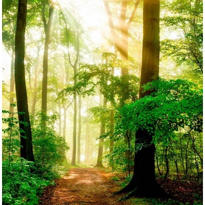 Fotomural Premium 2P-12006 Fotomural Premium 2P-12006