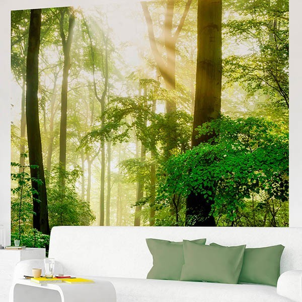 Fotomural Premium 2P-12006