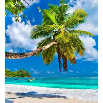 Fotomural Premium 2P-20004 Fotomural Premium 2P-20004