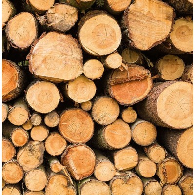 Fotomural Premium 2P-40010 Fotomural Premium 2P-40010