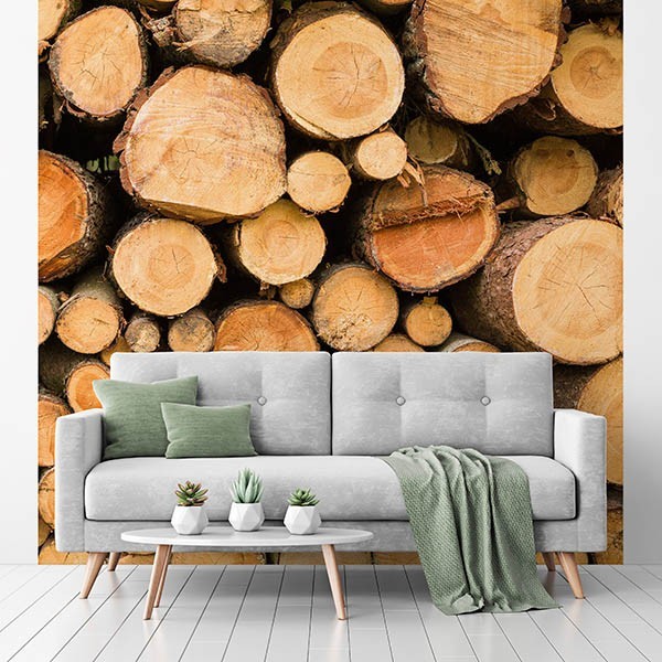 Fotomural Premium 2P-40010 Fotomural Premium 2P-40010