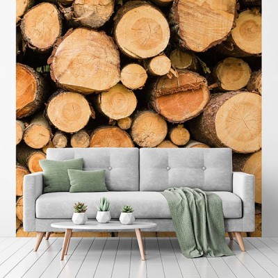 Fotomural Premium 2P-40010 Fotomural Premium 2P-40010