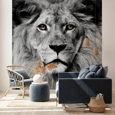 Fotomural Premium 2P-60001 Fotomural Premium 2P-60001