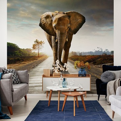 Fotomural Premium 2P-60003