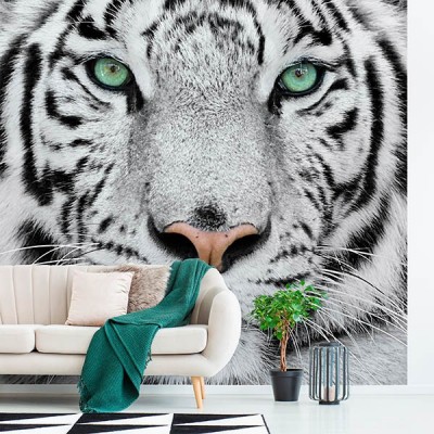 Fotomural Premium 2P-60004 2