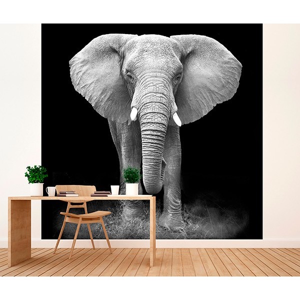 Fotomural Premium 2P-60007 Fotomural Premium 2P-60007