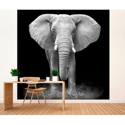 Fotomural Premium 2P-60007 Fotomural Premium 2P-60007