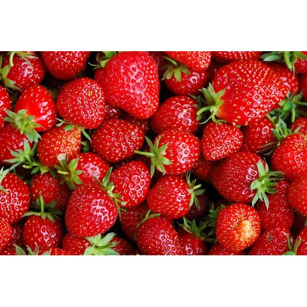 Fotomural Fresas FAL013, 100cm. x...