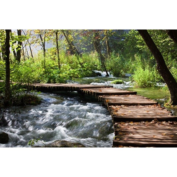 Fotomural Passarela de Madeira...