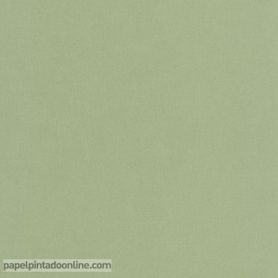 paper pintat llis verd militar clar