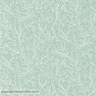 papel de parede de corais