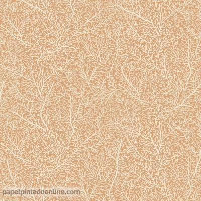 papel de parede de corais salmão