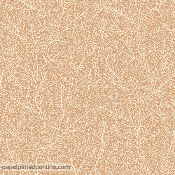 papel de parede de corais salmão