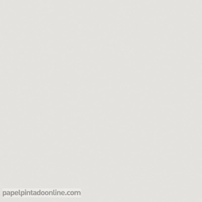 paper pintat llis gris clar