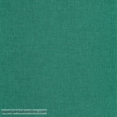 Paper pintat IMAGINATION...