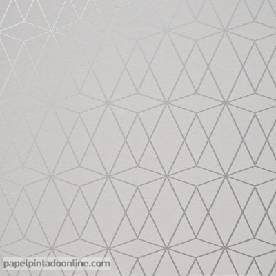 Papel pintado GEOMÉTRICO RAW 136