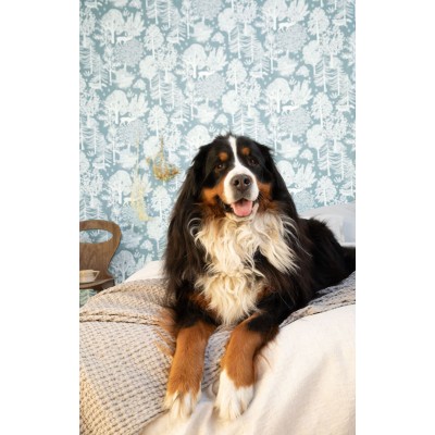 Paper pintat LA FÔRET FRT_10293_60_33