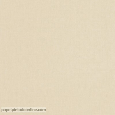 Paper pintat IMAGINATION...