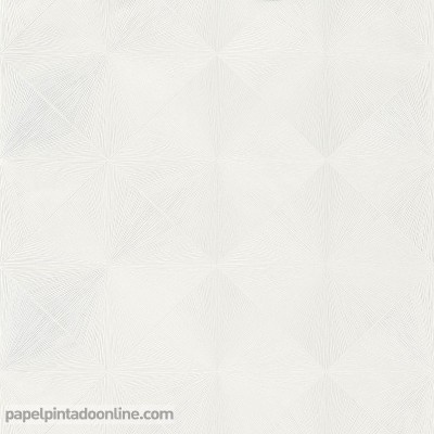 Papel pintado PERCEPTION PERP_8513_02_44