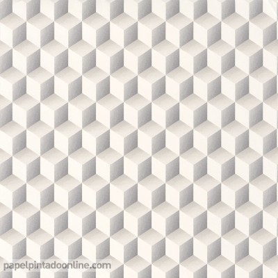Papel de parede PERCEPTION PERP_8647_13_13