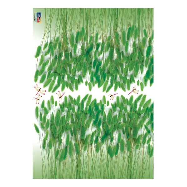 STICKER GREEN BRISTLEGRASS DP-08158 STICKER GREEN BRISTLEGRASS DP-08158